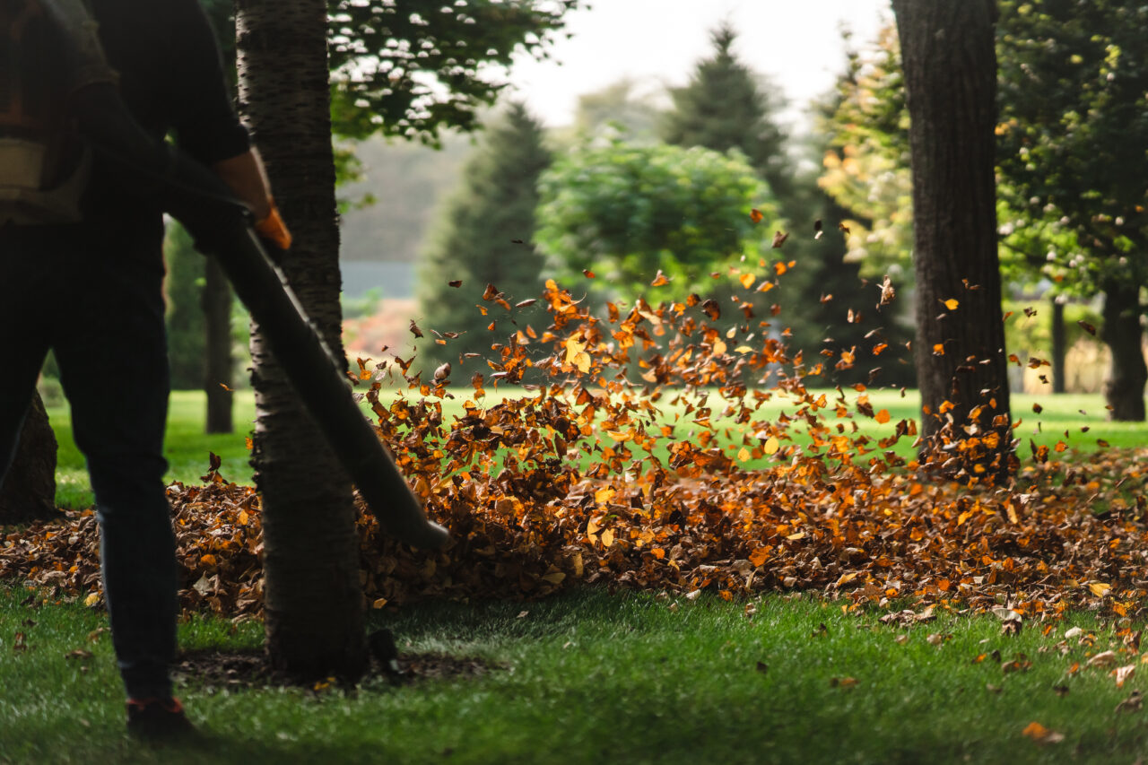 woman operating heavy duty leaf blower